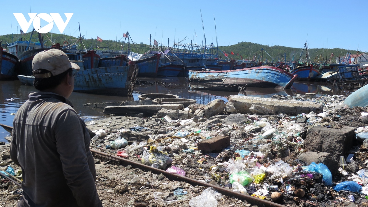 Ô nhiễm môi trường nghiêm trọng tại các cảng cá ở Quảng Ngãi